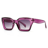 Vintage Style Sunglasses Purple