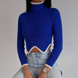 Turtleneck Crop Zig Zag Sweater